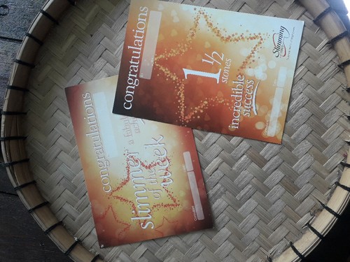 Slimming world certificates - world,
