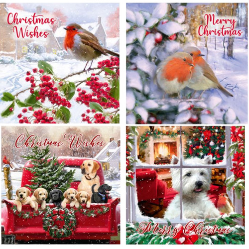 Christmas robin cards - 12, pack