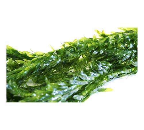 Elodea densa lead weighted - x,