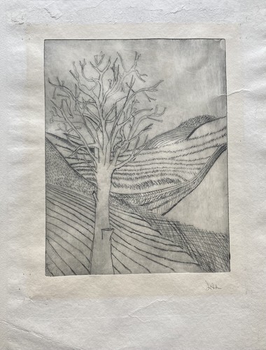 Wide landscape with tree - landscape,