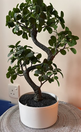 Artificial bonsai tree - artificial,