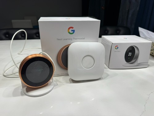 Google nest learning - google,