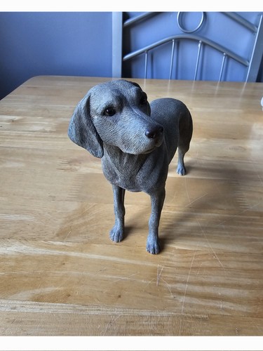 Leonardo collection weimaraner - collection,