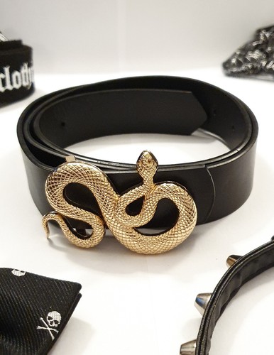 Black snake - snake, belt