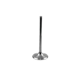 Titan Intake Valve Athena for