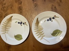Royal Worcester 2 Dinner Plates With Autumn Pattern Leaves and Fruit. Beautiful