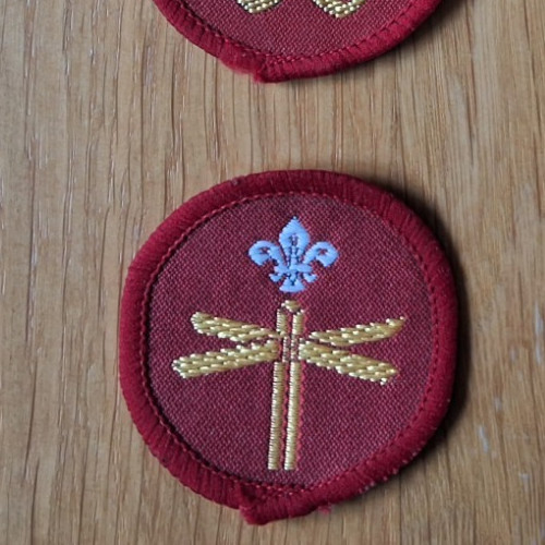 Large cub scout explorer - large,