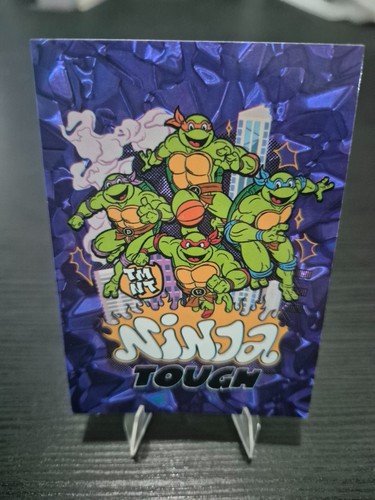 Teenage mutant ninja turtles - mutant,