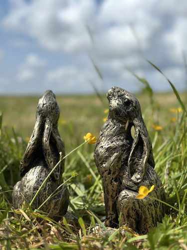 Delightful pair moongazing - delightful,