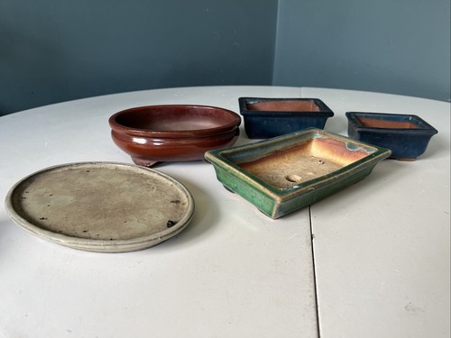 Bonsai pots 1 tray - 1, ceramic