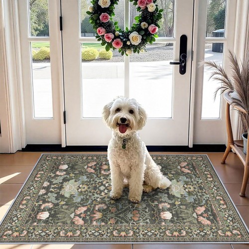 Washable 2x3 entryway area - entryway,