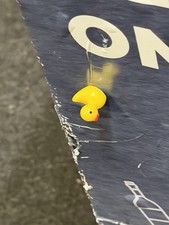 Random Duck