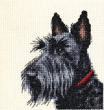 SCOTTISH TERRIER Dog Pup Full