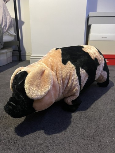 Stuffed pig teddy - pig, teddy/toy