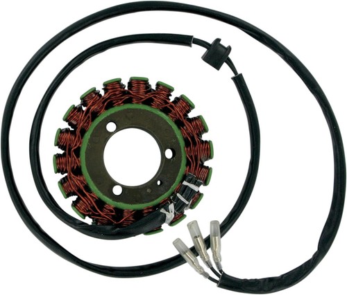 Rick motorsport electric oem - motorsport,