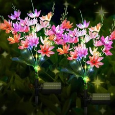 2 Pack Solar Powered Lights