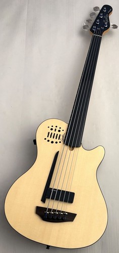 Godin ultra fretless - godin,