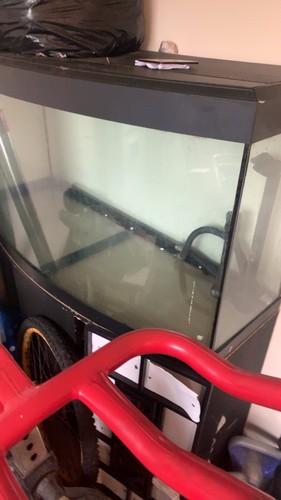 3ft fish tank aquarium