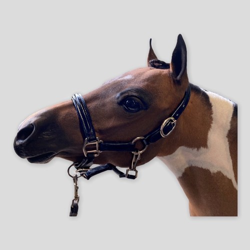 Miniature horse mini - miniature,