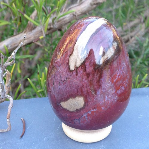 Red fossil wood crystal egg - fossil,