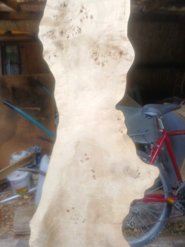 Live edge birch burr slab - live,