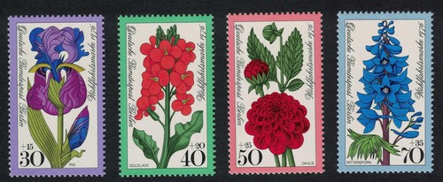 Berlin garden flowers 1976 - flowers,