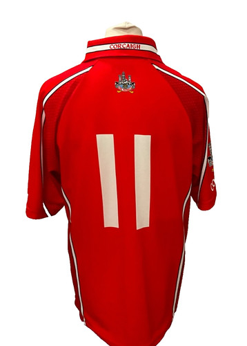 2005 2007 cork gaa - 2007,