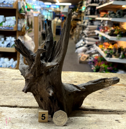 Small medium corbo root - small/medium,