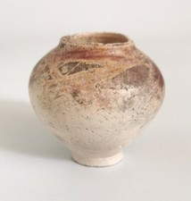 Victoria Meadows Studio