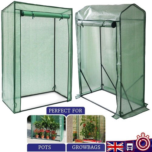 Garden tomato plant growbag - plant,