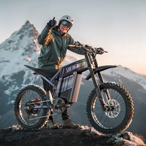Fat tyre electric bike - 19”,