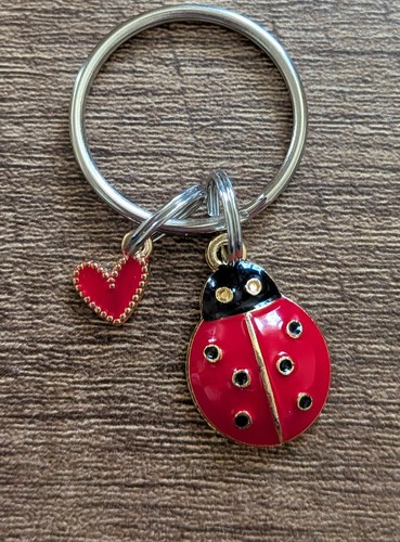 Stunning beautiful ladybird