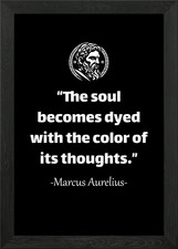 Marcus Aurelius Quote Framed
