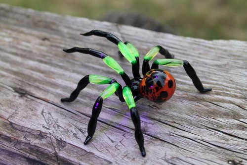 Uranium tarantula glass spider - uranium,