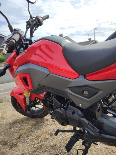 2016 honda msx125 - grom, —