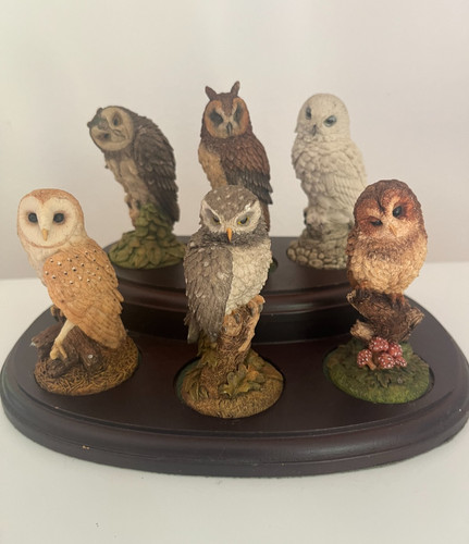 Set royal doulton owls on - doulton,