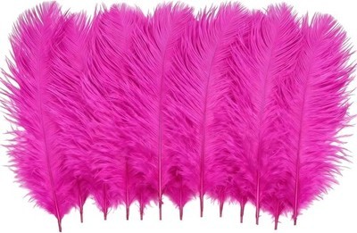 50pcs natural ostrich - ostrich, feathers