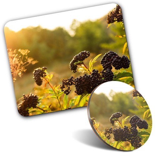 Mouse mat 1 - 1, coaster
