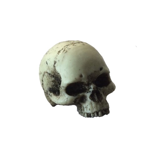 Skull motorcyle skeleton - 2,