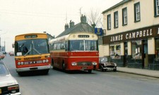 Bus Photo - Bus and coach Ardee Two CIE Leyland Leopards c1980