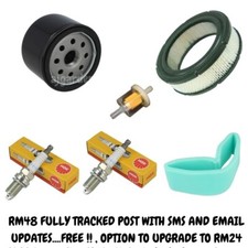 Briggs and Stratton Vanguard