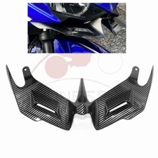 Front Fairing Winglet