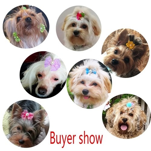 20pcs pet dog - dog, bows