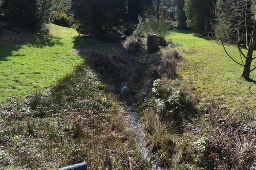 Photo 6x4 stream bedgebury - stream,,