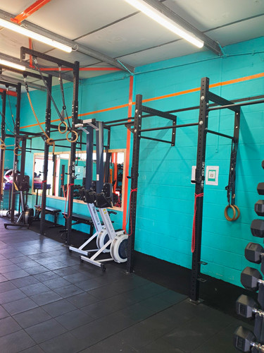 Rogue monster lite - monster,