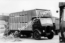 THH Truck Photos - Albion -