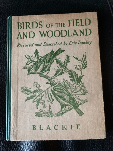 Birds the field - the, and