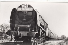 Postcard The Caledonian Steam