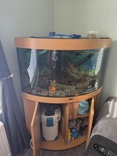 Juwel Trigon 190 Corner Fish Tank with Cabinet Stand and Accessories
