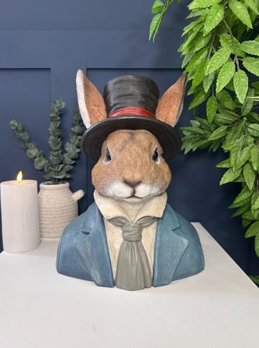 Large elegant dapper - dapper, rabbit
